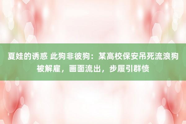 夏娃的诱惑 此狗非彼狗：某高校保安吊死流浪狗被解雇，画面流出，步履引群愤