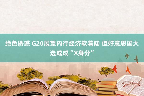 绝色诱惑 G20展望内行经济软着陆 但好意思国大选或成“X身分”