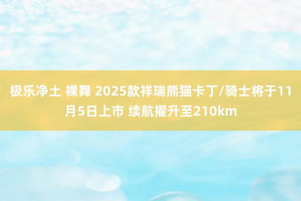 极乐净土 裸舞 2025款祥瑞熊猫卡丁/骑士将于11月5日上市 续航擢升至210km
