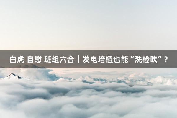 白虎 自慰 班组六合｜发电培植也能“洗检吹”？