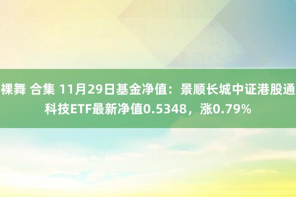 裸舞 合集 11月29日基金净值：景顺长城中证港股通科技ETF最新净值0.5348，涨0.79%