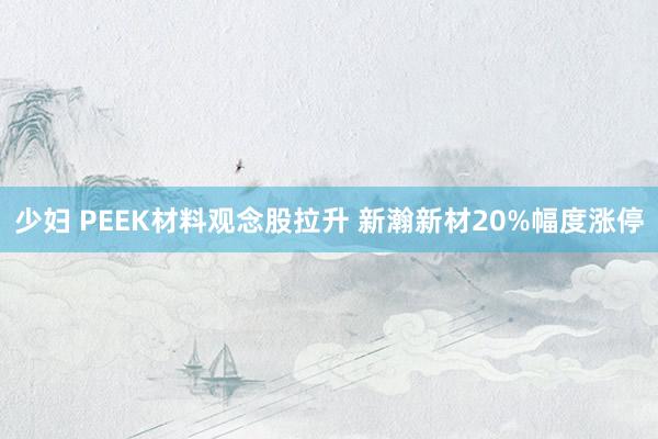 少妇 PEEK材料观念股拉升 新瀚新材20%幅度涨停