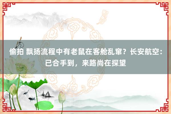偷拍 飘扬流程中有老鼠在客舱乱窜？长安航空：已合手到，来路尚在探望