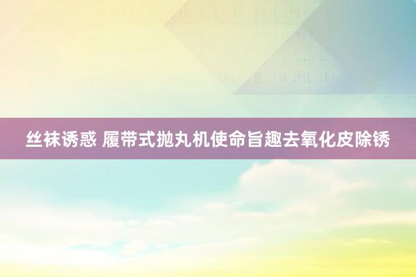 丝袜诱惑 履带式抛丸机使命旨趣去氧化皮除锈