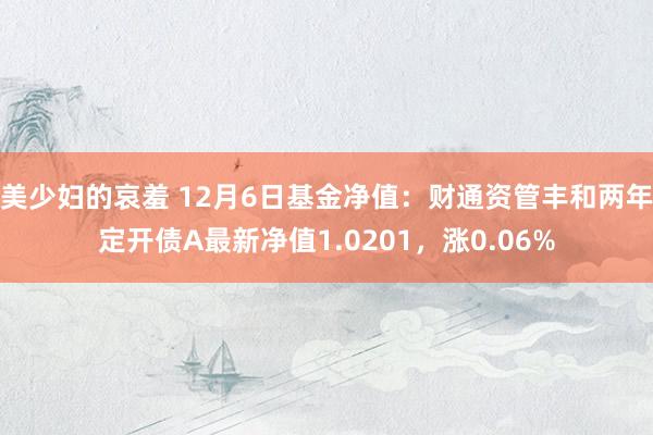 美少妇的哀羞 12月6日基金净值：财通资管丰和两年定开债A最新净值1.0201，涨0.06%