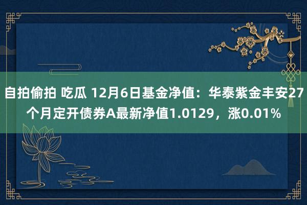 自拍偷拍 吃瓜 12月6日基金净值：华泰紫金丰安27个月定开债券A最新净值1.0129，涨0.01%