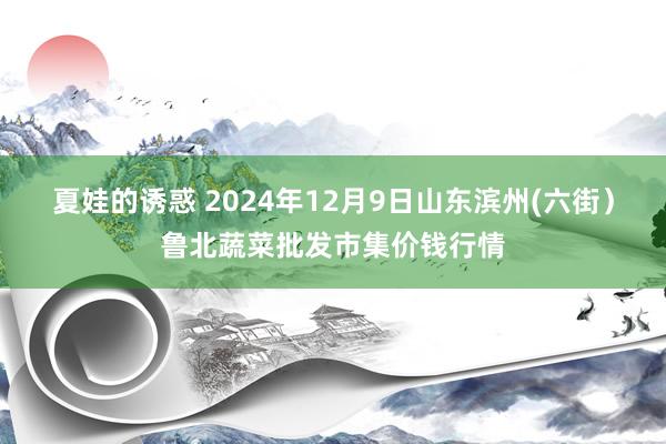 夏娃的诱惑 2024年12月9日山东滨州(六街)鲁北蔬菜批发市集价钱行情