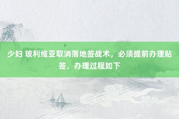 少妇 玻利维亚取消落地签战术，必须提前办理贴签，办理过程如下