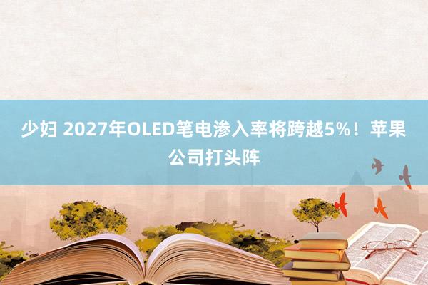 少妇 2027年OLED笔电渗入率将跨越5%！苹果公司打头阵
