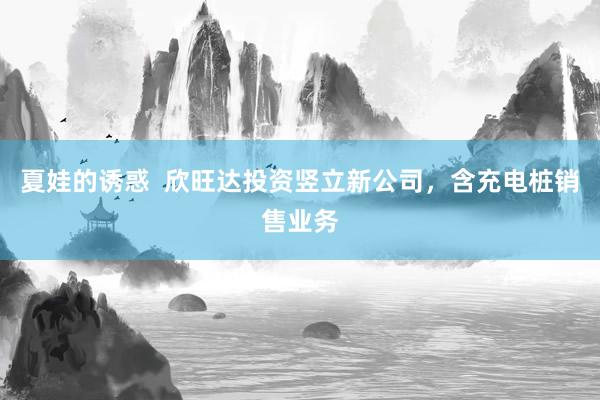 夏娃的诱惑  欣旺达投资竖立新公司，含充电桩销售业务