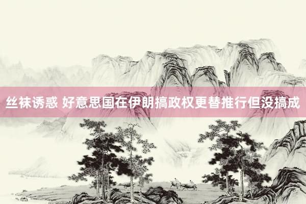 丝袜诱惑 好意思国在伊朗搞政权更替推行但没搞成