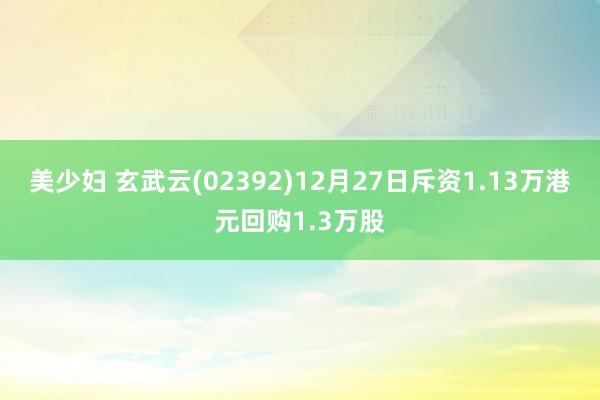 美少妇 玄武云(02392)12月27日斥资1.13万港元回购1.3万股