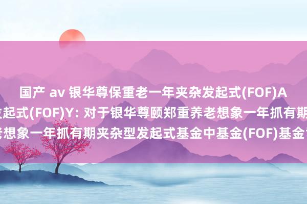 国产 av 银华尊保重老一年夹杂发起式(FOF)A,银华尊保重老一年夹杂发起式(FOF)Y: 对于银华尊颐郑重养老想象一年抓有期夹杂型发起式基金中基金(FOF)基金司理离任的公告