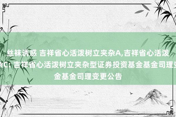 丝袜诱惑 吉祥省心活泼树立夹杂A,吉祥省心活泼树立夹杂C: 吉祥省心活泼树立夹杂型证券投资基金基金司理变更公告