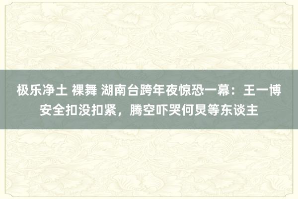 极乐净土 裸舞 湖南台跨年夜惊恐一幕：王一博安全扣没扣紧，腾空吓哭何炅等东谈主