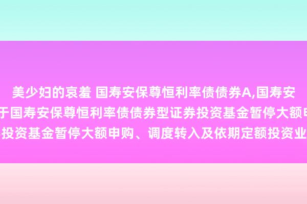 美少妇的哀羞 国寿安保尊恒利率债债券A,国寿安保尊恒利率债债券C: 对于国寿安保尊恒利率债债券型证券投资基金暂停大额申购、调度转入及依期定额投资业务的公告