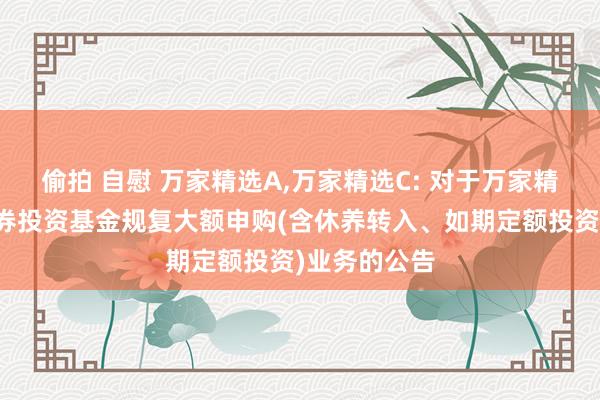 偷拍 自慰 万家精选A,万家精选C: 对于万家精选搀和型证券投资基金规复大额申购(含休养转入、如期定额投资)业务的公告