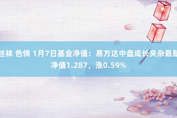 丝袜 色情 1月7日基金净值：易方达中盘成长夹杂最新净值1.287，涨0.59%