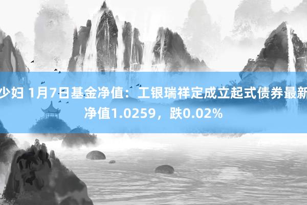 少妇 1月7日基金净值：工银瑞祥定成立起式债券最新净值1.0259，跌0.02%