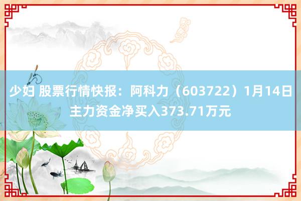 少妇 股票行情快报：阿科力（603722）1月14日主力资金净买入373.71万元