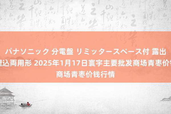 パナソニック 分電盤 リミッタースペース付 露出・半埋込両用形 2025年1月17日寰宇主要批发商场青枣价钱行情