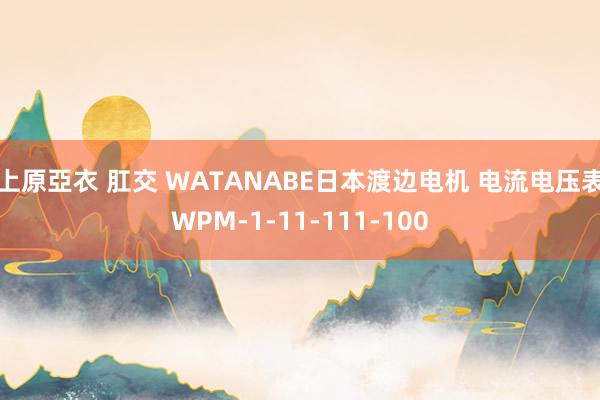 上原亞衣 肛交 WATANABE日本渡边电机 电流电压表WPM-1-11-111-100
