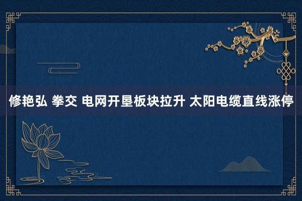 修艳弘 拳交 电网开垦板块拉升 太阳电缆直线涨停