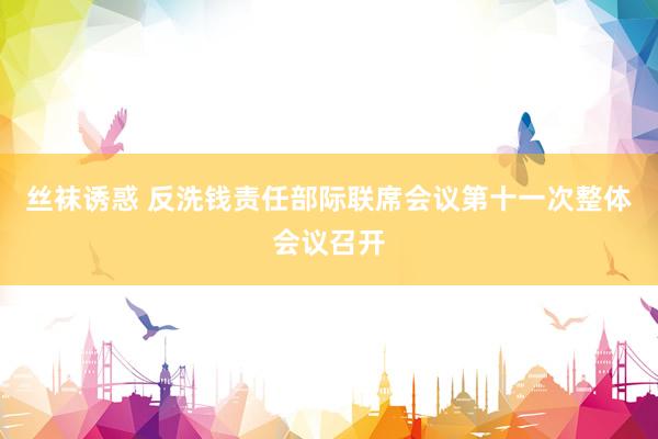 丝袜诱惑 反洗钱责任部际联席会议第十一次整体会议召开