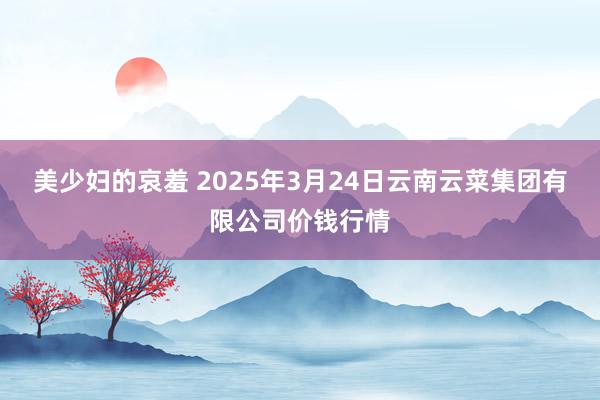 美少妇的哀羞 2025年3月24日云南云菜集团有限公司价钱行情