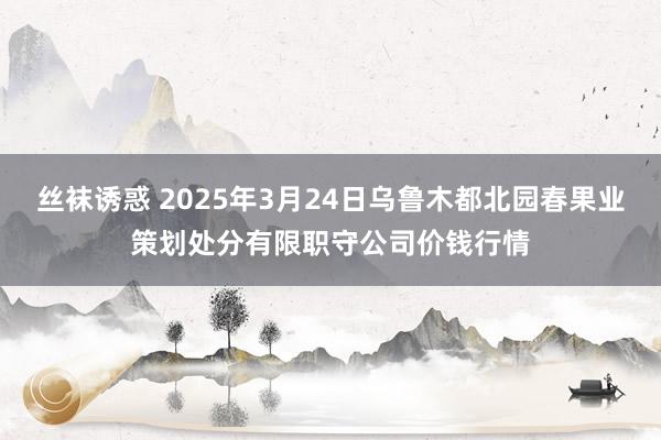 丝袜诱惑 2025年3月24日乌鲁木都北园春果业策划处分有限职守公司价钱行情