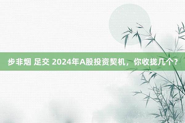 步非烟 足交 2024年A股投资契机，你收拢几个？