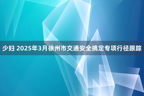 少妇 2025年3月徐州市交通安全搞定专项行径跟踪