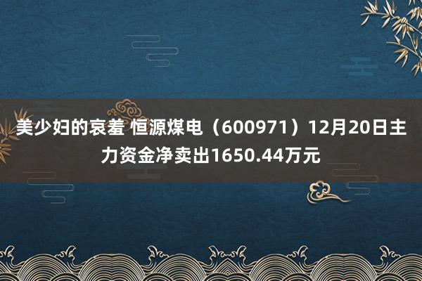 美少妇的哀羞 恒源煤电（600971）12月20日主力资金净卖出1650.44万元