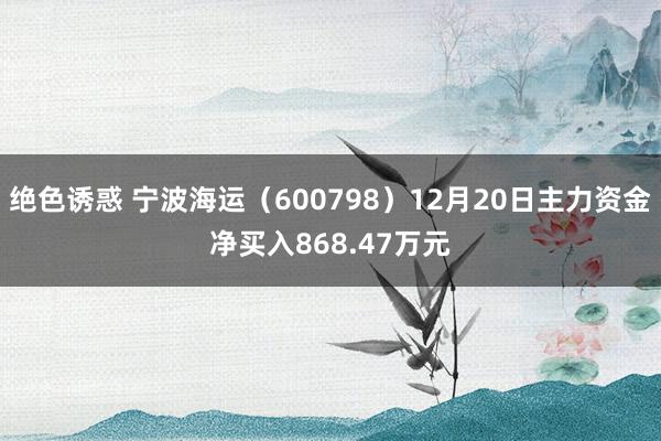 绝色诱惑 宁波海运（600798）12月20日主力资金净买入868.47万元