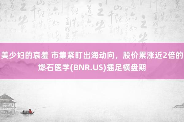 美少妇的哀羞 市集紧盯出海动向，股价累涨近2倍的燃石医学(BNR.US)插足横盘期