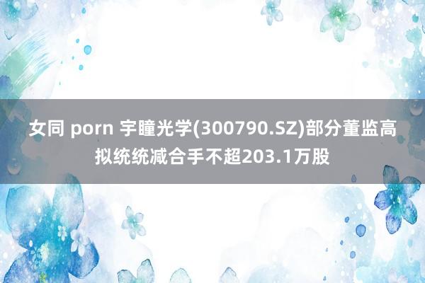 女同 porn 宇瞳光学(300790.SZ)部分董监高拟统统减合手不超203.1万股