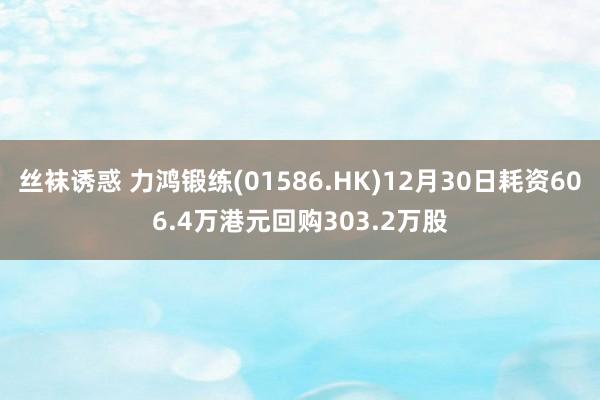 丝袜诱惑 力鸿锻练(01586.HK)12月30日耗资606.4万港元回购303.2万股