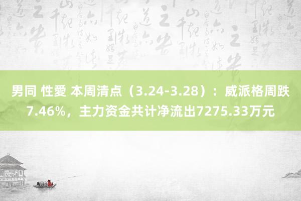 男同 性愛 本周清点（3.24-3.28）：威派格周跌7.46%，主力资金共计净流出7275.33万元