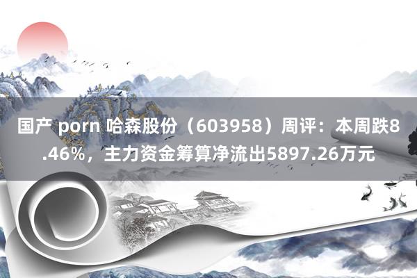 国产 porn 哈森股份（603958）周评：本周跌8.46%，主力资金筹算净流出5897.26万元