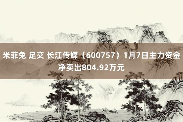 米菲兔 足交 长江传媒（600757）1月7日主力资金净卖出804.92万元
