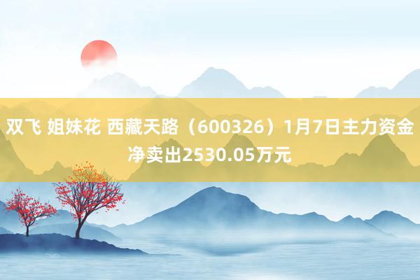双飞 姐妹花 西藏天路（600326）1月7日主力资金净卖出2530.05万元