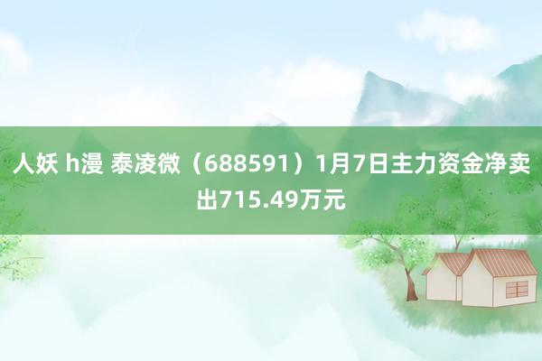 人妖 h漫 泰凌微（688591）1月7日主力资金净卖出715.49万元