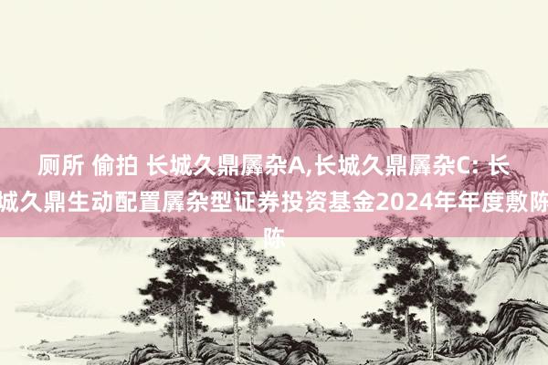 厕所 偷拍 长城久鼎羼杂A,长城久鼎羼杂C: 长城久鼎生动配置羼杂型证券投资基金2024年年度敷陈