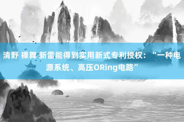 清野 裸舞 新雷能得到实用新式专利授权：“一种电源系统、高压ORing电路”
