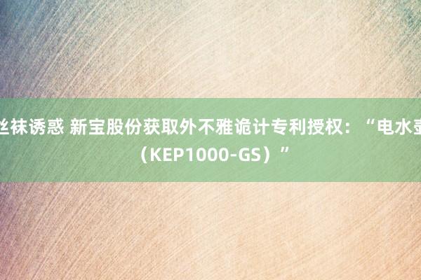 丝袜诱惑 新宝股份获取外不雅诡计专利授权：“电水壶（KEP1000-GS）”