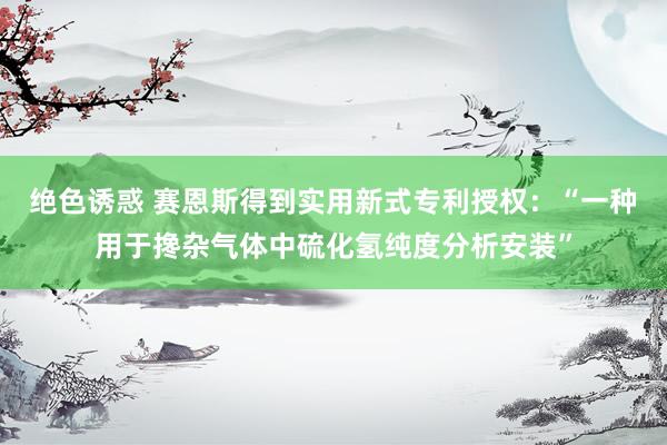 绝色诱惑 赛恩斯得到实用新式专利授权：“一种用于搀杂气体中硫化氢纯度分析安装”