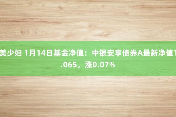 美少妇 1月14日基金净值：中银安享债券A最新净值1.065，涨0.07%