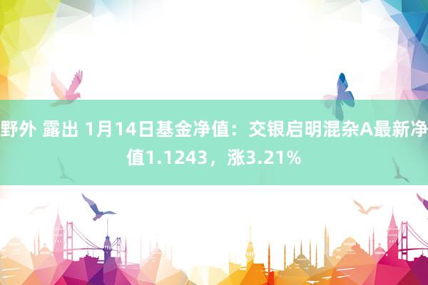 野外 露出 1月14日基金净值：交银启明混杂A最新净值1.1243，涨3.21%