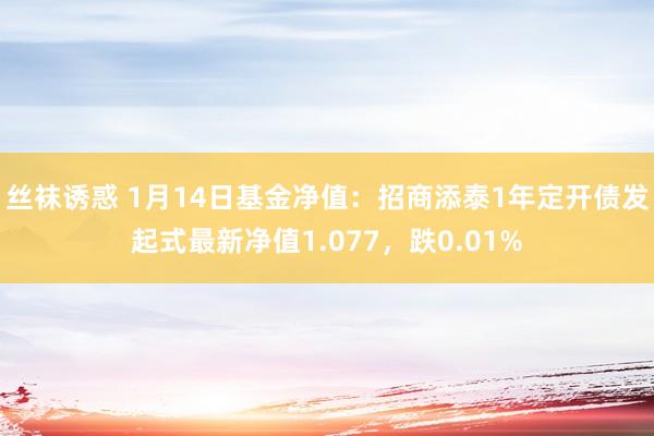 丝袜诱惑 1月14日基金净值：招商添泰1年定开债发起式最新净值1.077，跌0.01%