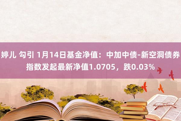 婷儿 勾引 1月14日基金净值：中加中债-新空洞债券指数发起最新净值1.0705，跌0.03%